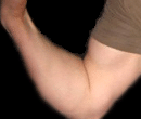 Muscle Building